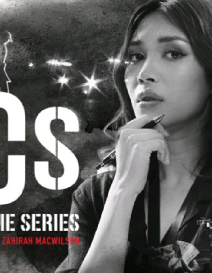 metro crime series