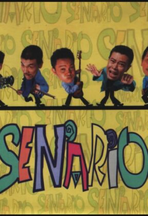 senario